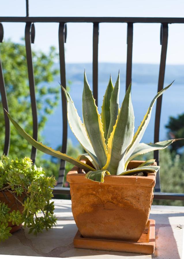 Villa Anima, Stanici, Near Omis Eksteriør bilde